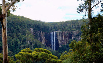 Preparing for the Gidjuum Gulganyi Walk (Pre-Hike Guide)
