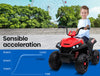 Kids Electric ATV