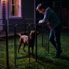 Portable Outdoor Dog Fence / Puppy Pen