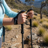 TERRAN Foldable Carbon Hiking Poles x2