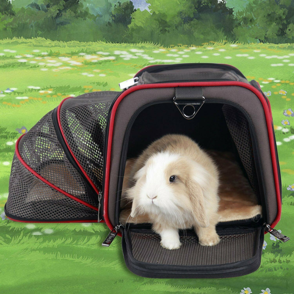 Expandable Pet Carrier Crates and Enclousures for Dogs, Cats, Birds