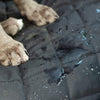Front Pet Seat Cover