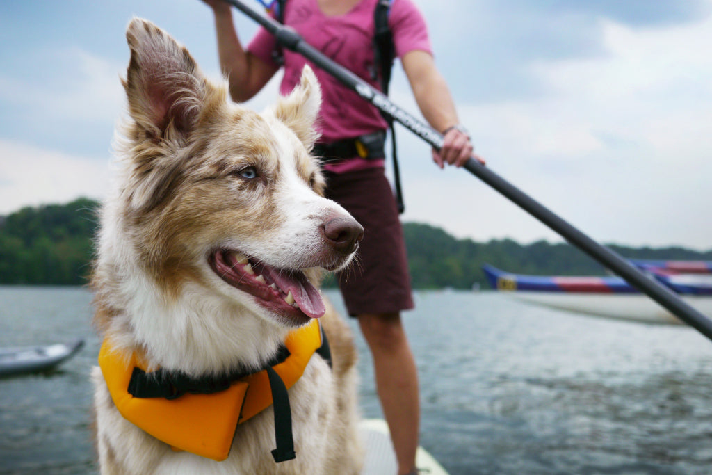 Dog Life Jacket - Pet - XS,S,M,L,XL