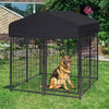 Pet Kennel