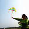 Rainbow Kites x2